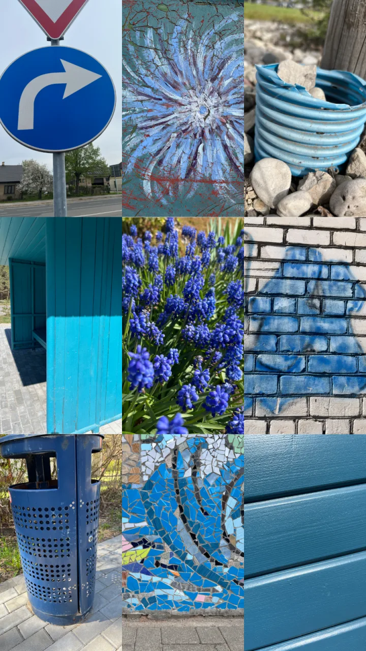A blue Color hunting collage exported from PicChase