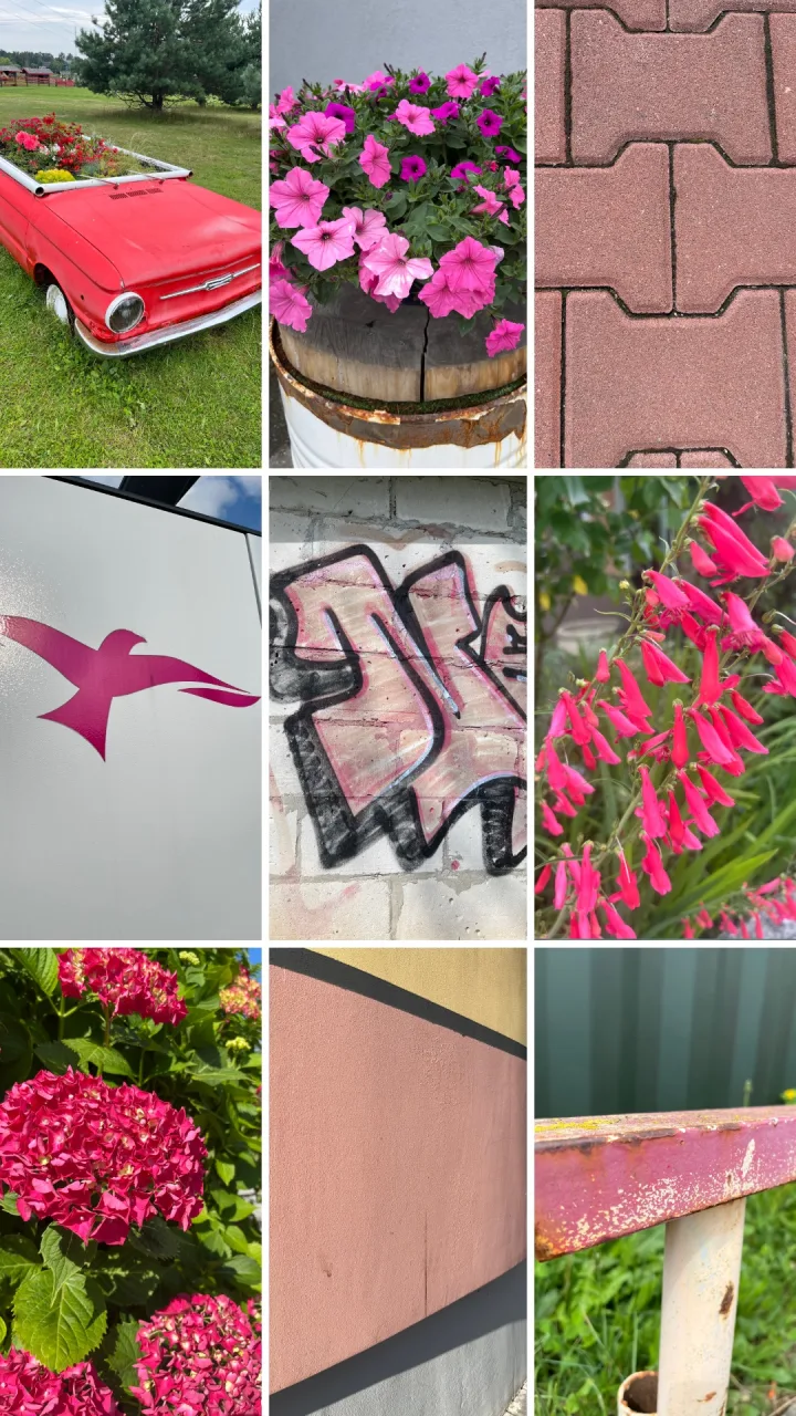 A pink Color hunting collage exported from PicChase